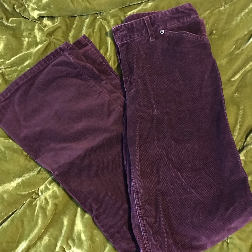 J Jill brand size 6 maroon cords